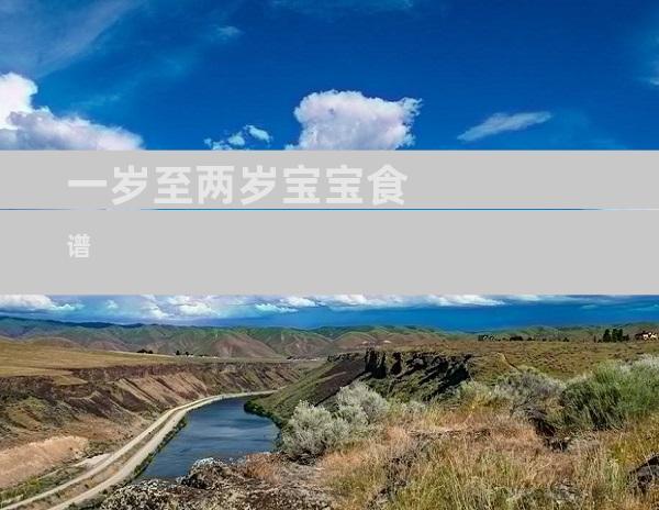 一岁至两岁宝宝食谱