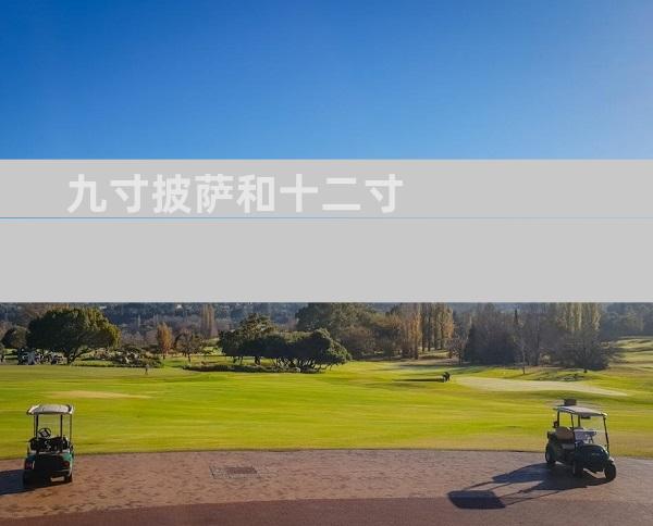 九寸披萨和十二寸