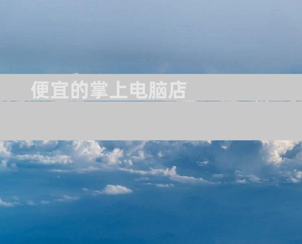 便宜的掌上电脑店