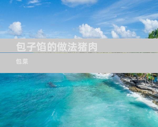 包子馅的做法猪肉包菜