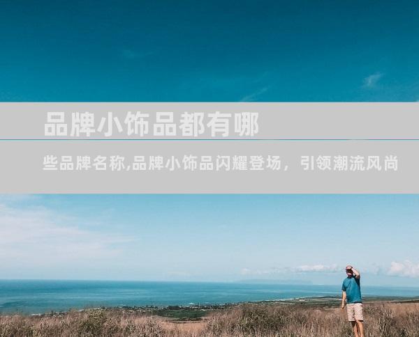 品牌小饰品都有哪些品牌名称,品牌小饰品闪耀登场，引领潮流风尚