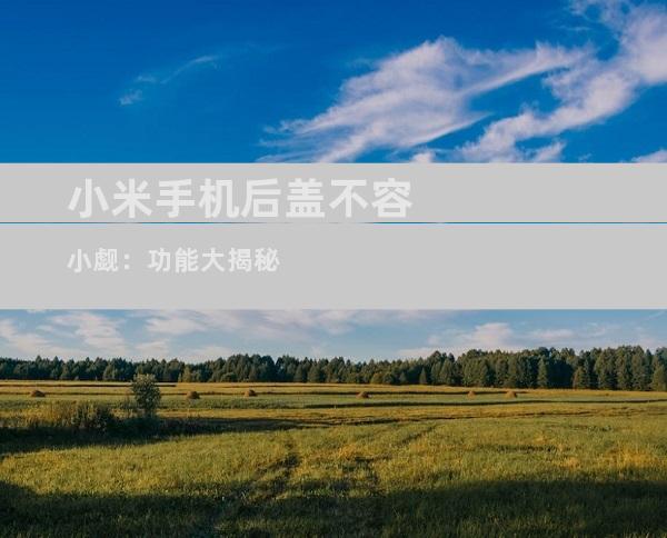 小米手机后盖不容小觑：功能大揭秘