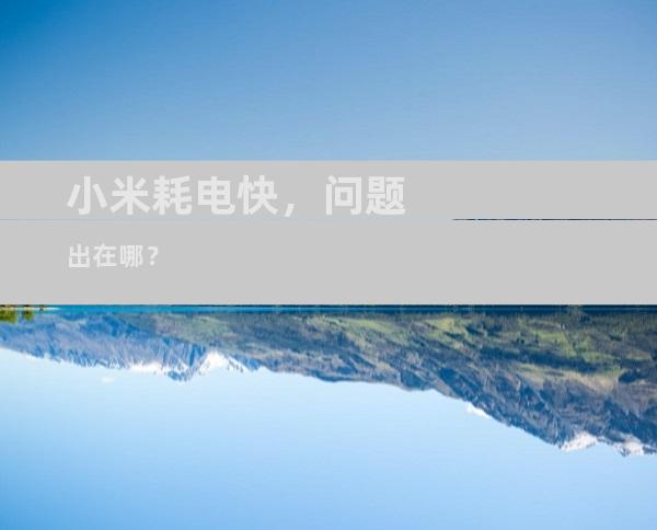 小米耗电快，问题出在哪？