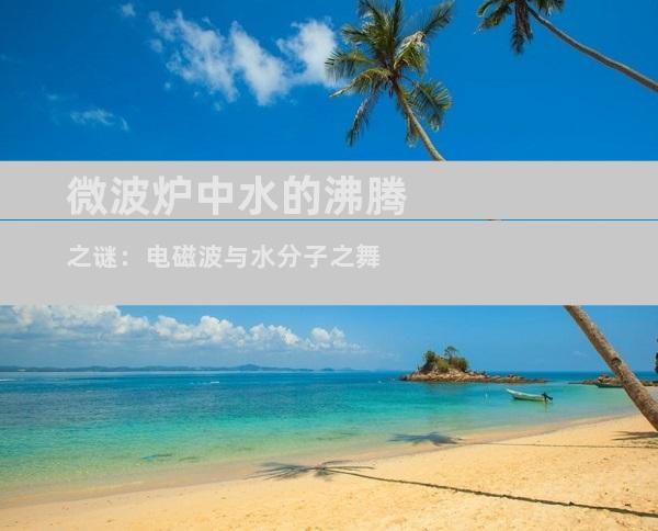 微波炉中水的沸腾之谜：电磁波与水分子之舞