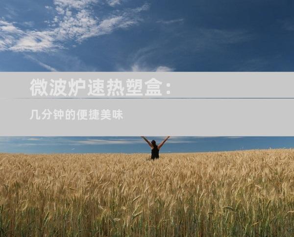 微波炉速热塑盒：几分钟的便捷美味