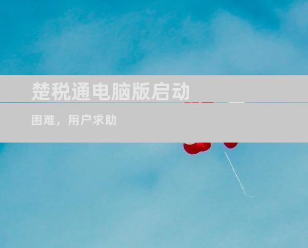 楚税通电脑版启动困难，用户求助