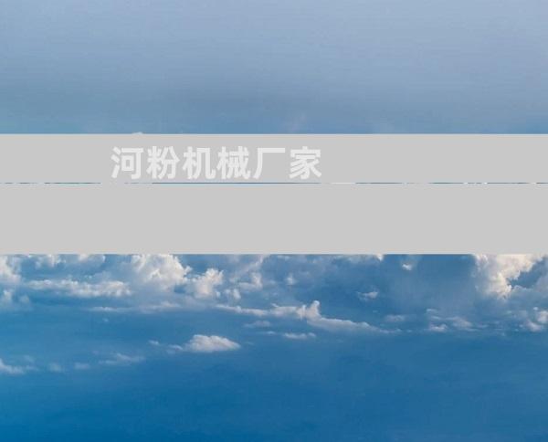 河粉机械厂家
