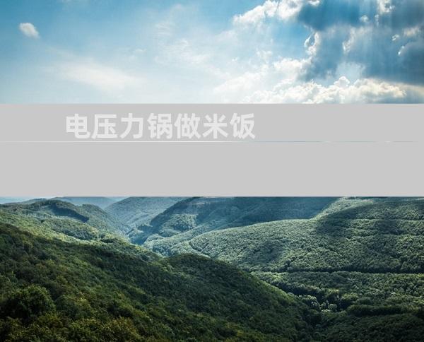 电压力锅做米饭