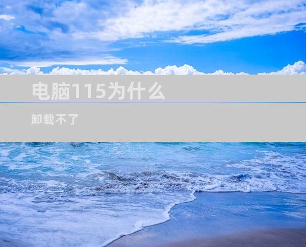 电脑115为什么卸载不了