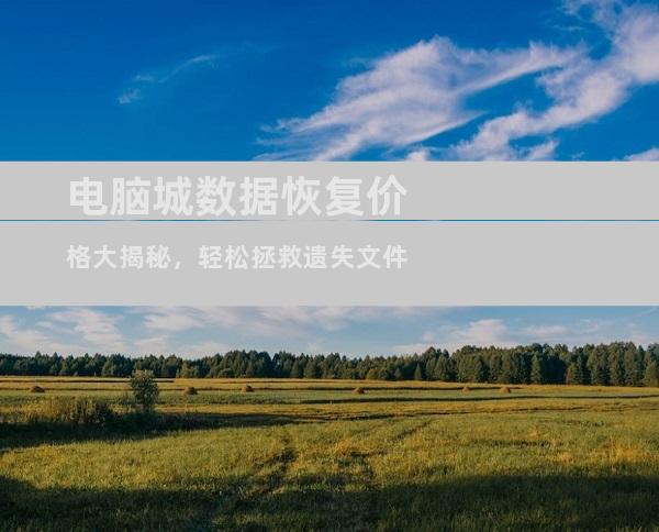 电脑城数据恢复价格大揭秘，轻松拯救遗失文件