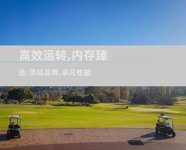 高效运转,内存臻选:顶级品牌,非凡性能